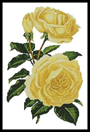 Yellow Roses - Artecy Cross Stitch