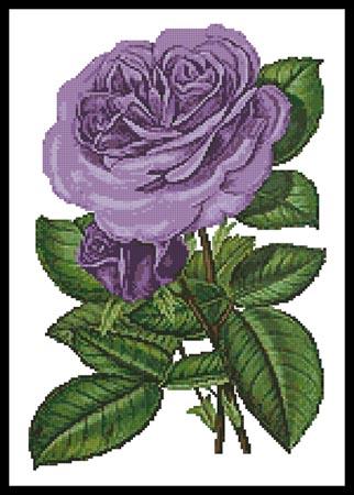 Lavender Roses Print - Artecy Cross Stitch