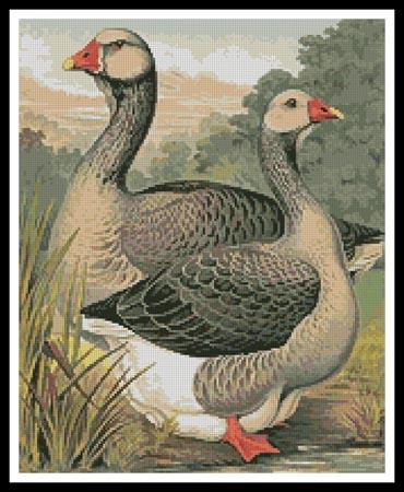 Toulouse Geese - Artecy Cross Stitch