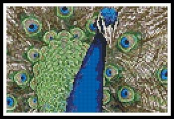 Mini Peacock 2 - Artecy Cross Stitch