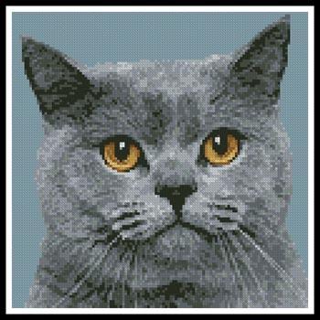 Mini British Shorthair Cat - Artecy Cross Stitch