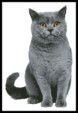 British Shorthair Cat - Artecy Cross Stitch