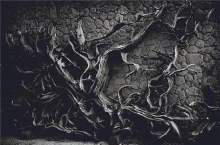 Bark Of A Tree - X Squared Cross Stitch