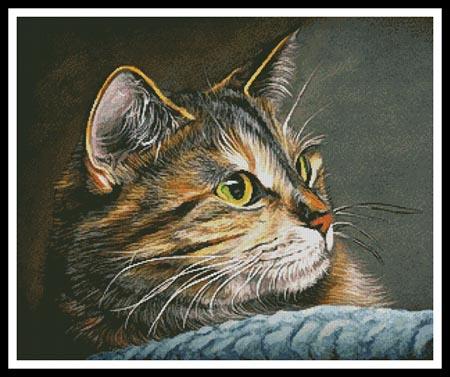 Amber Glow - Artecy Cross Stitch