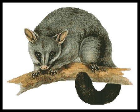 Brush Tail Possum - Artecy Cross Stitch