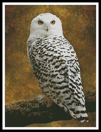 Snowy Owl - Artecy Cross Stitch