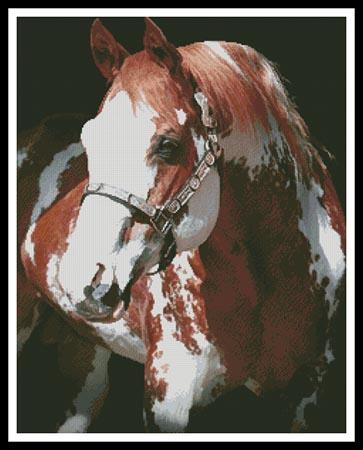 Sierra Supreme - Artecy Cross Stitch