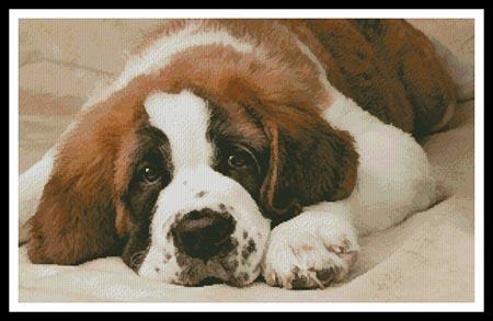 St Bernard Photo - Artecy Cross Stitch