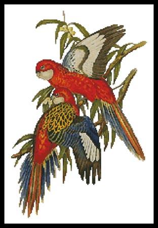 Parakeets - Artecy Cross Stitch