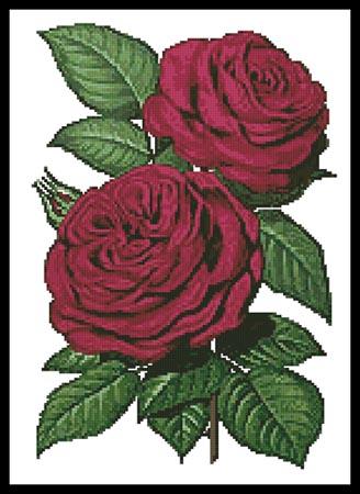 Pink Roses 5 - Artecy Cross Stitch