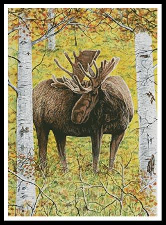 Moose In The Meadow - Artecy Cross Stitch