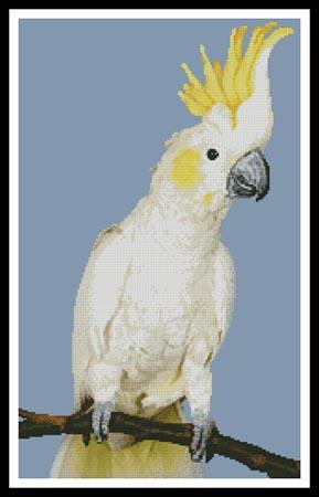 Sulphur Crested Cockatoo - Artecy Cross Stitch