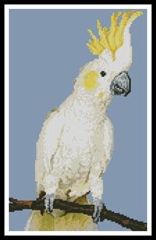 Mini Sulphur Crested Cockatoo - Artecy Cross Stitch