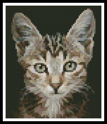 Mini Kitten Photo - Artecy Cross Stitch