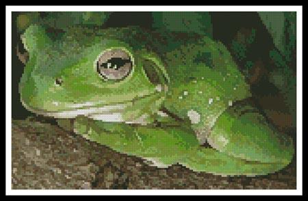 Green Tree Frog 2 - Artecy Cross Stitch