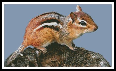 Chipmunk - Artecy Cross Stitch