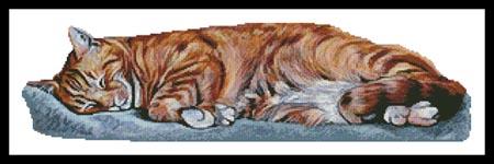 Tommy - Artecy Cross Stitch
