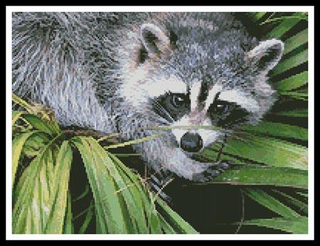 Raccoon - Artecy Cross Stitch