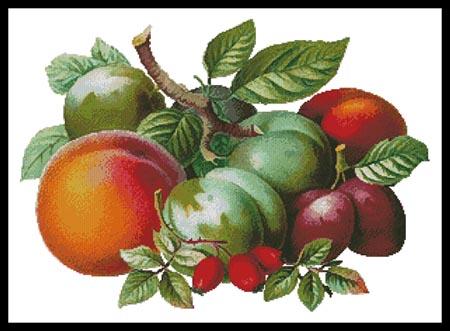 Fruits 2 - Artecy Cross Stitch