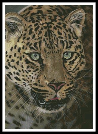 After Dark All Cats Are Leopards - Artecy Cross Stitch