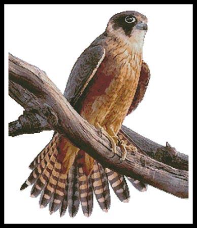 Australian Hobby - Artecy Cross Stitch