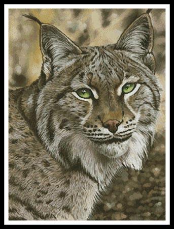 The Lynx Effect - Artecy Cross Stitch