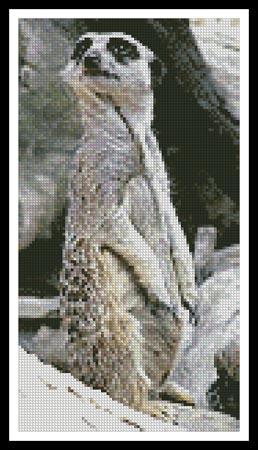 Meerkat - Artecy Cross Stitch