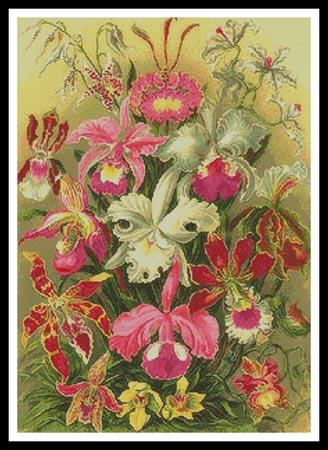 Orchids - Artecy Cross Stitch