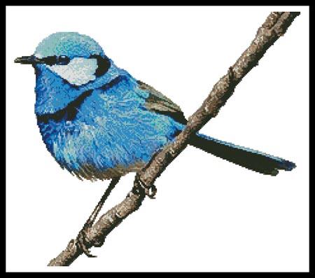 Male Splendid Fairy Wren 2 - Artecy Cross Stitch