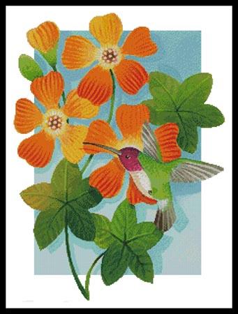 Beija Flor Orange - Artecy Cross Stitch