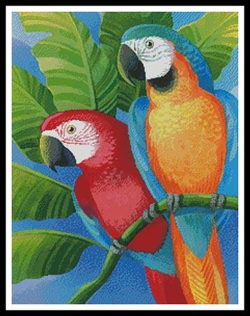 Parrots - Artecy Cross Stitch