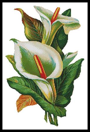 Calla Lilies 2 - Artecy Cross Stitch