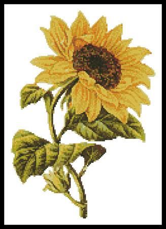 Golden Sunflower - Artecy Cross Stitch