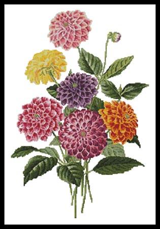 Dahlias - Artecy Cross Stitch