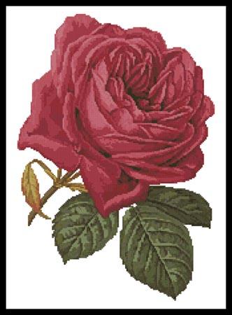 Pink Rose - Artecy Cross Stitch