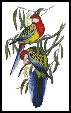 Rosehill Parakeets - Artecy Cross Stitch