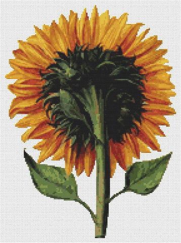 Sunflower Seen From The Back - Art of Stitch, The