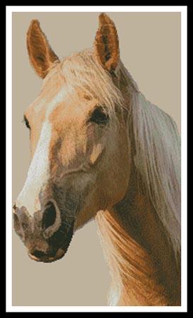 Palomino Horse - Artecy Cross Stitch