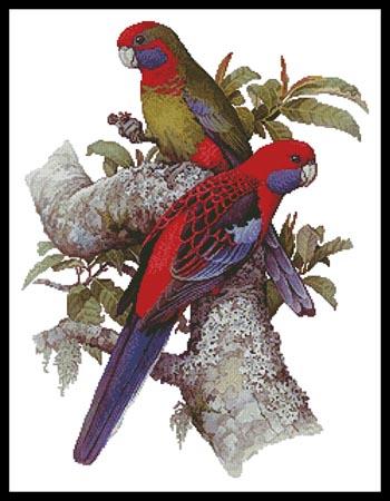 Crimson Rosellas - Artecy Cross Stitch