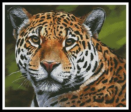 Jaguar Portrait - Artecy Cross Stitch