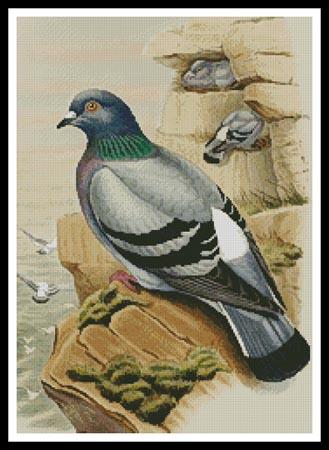 Pigeon - Artecy Cross Stitch