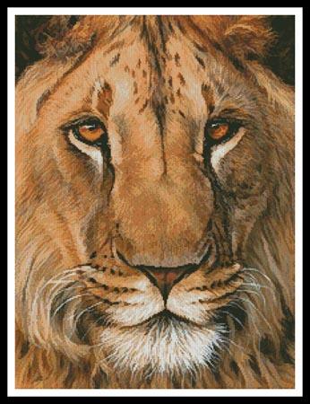 Lion Portrait - Artecy Cross Stitch