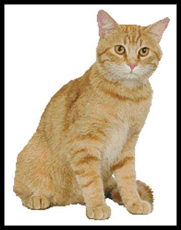Ginger Cat - Artecy Cross Stitch