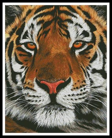 Bengal Tiger Portrait - Artecy Cross Stitch