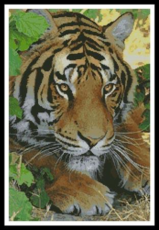 Bengal Tiger 3 - Artecy Cross Stitch