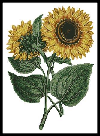 Sunflowers - Artecy Cross Stitch