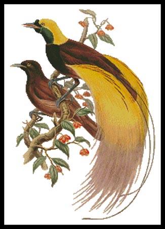 Greater Bird Of Paradise - Artecy Cross Stitch