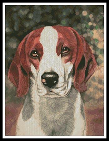 Beagle Dog Portrait - Artecy Cross Stitch