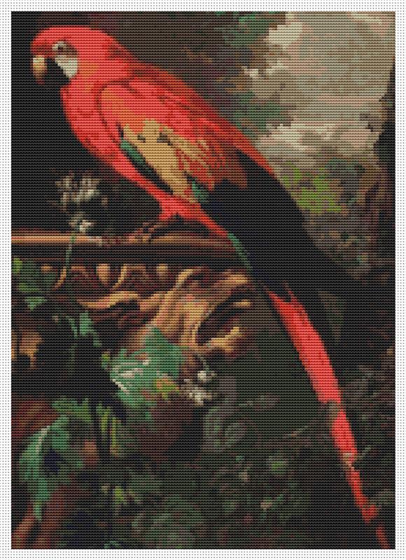 A scarlet Macaw In A Landscape - Art of Stitch, The