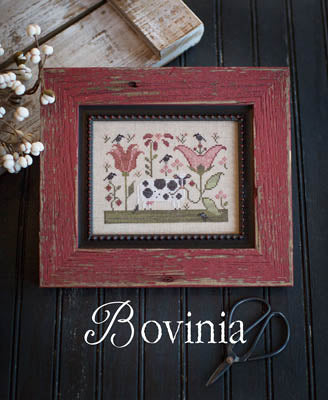 Bovinia - Plum Street Samplers